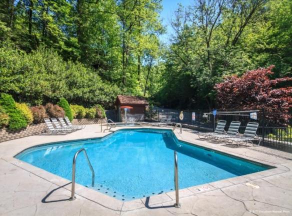 Another Day In Bearadise By Stony Brook Cabins Gatlinburg Extérieur photo